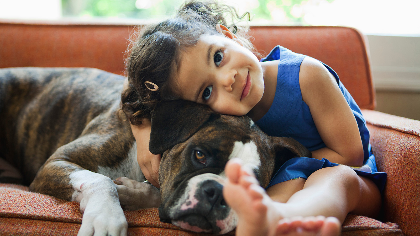 A child cuddles with a large dog on an orange couch, both looking relaxed and comfortable together.