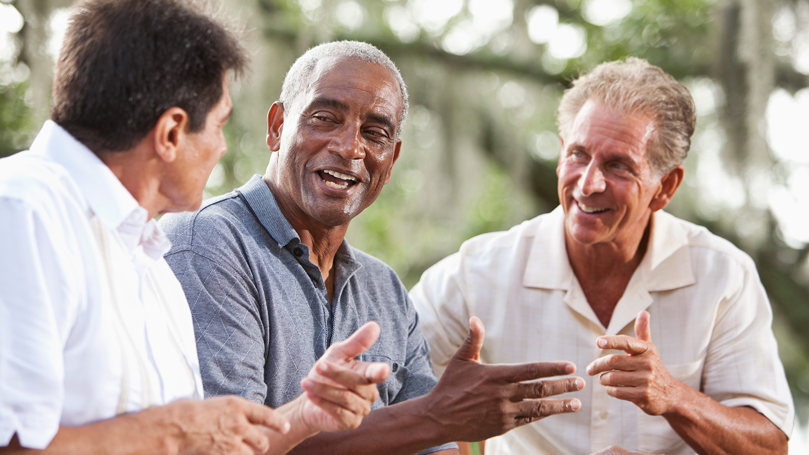 Three older men are engaged in a lively conversation outdoors